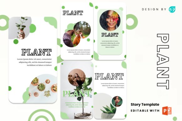 Instagram Story - Plant: Modern Templates for Digital Branding